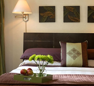 Choose from all our accommodations