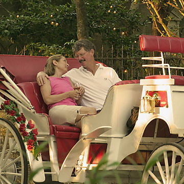 A romantic horse buggy tour